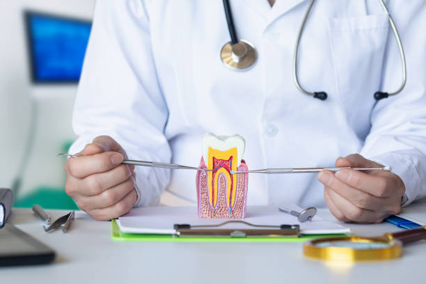 Best Tooth Infection Emergency Dentist  in Parkersburg, WV
